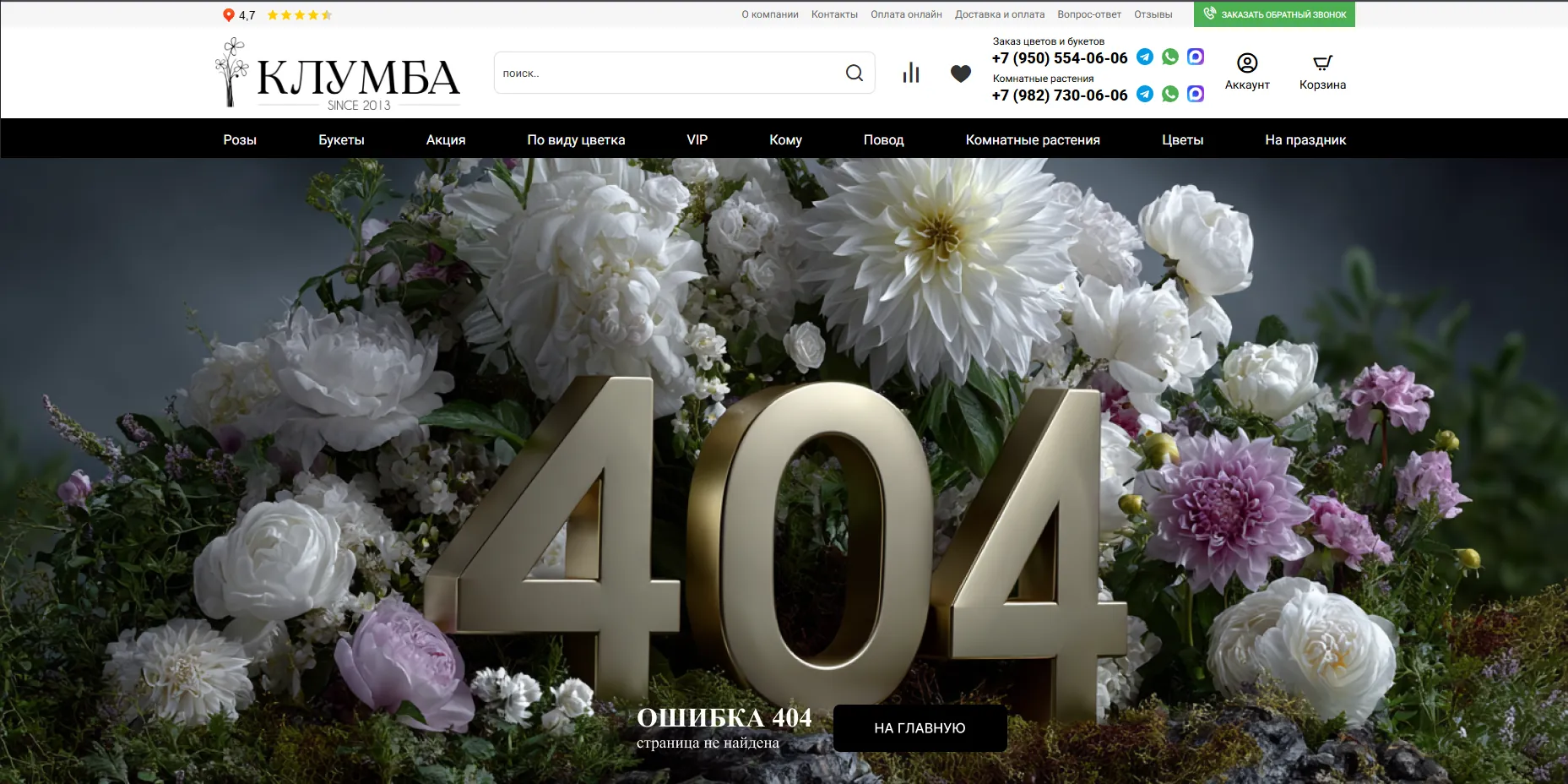 404, выбранный вариант